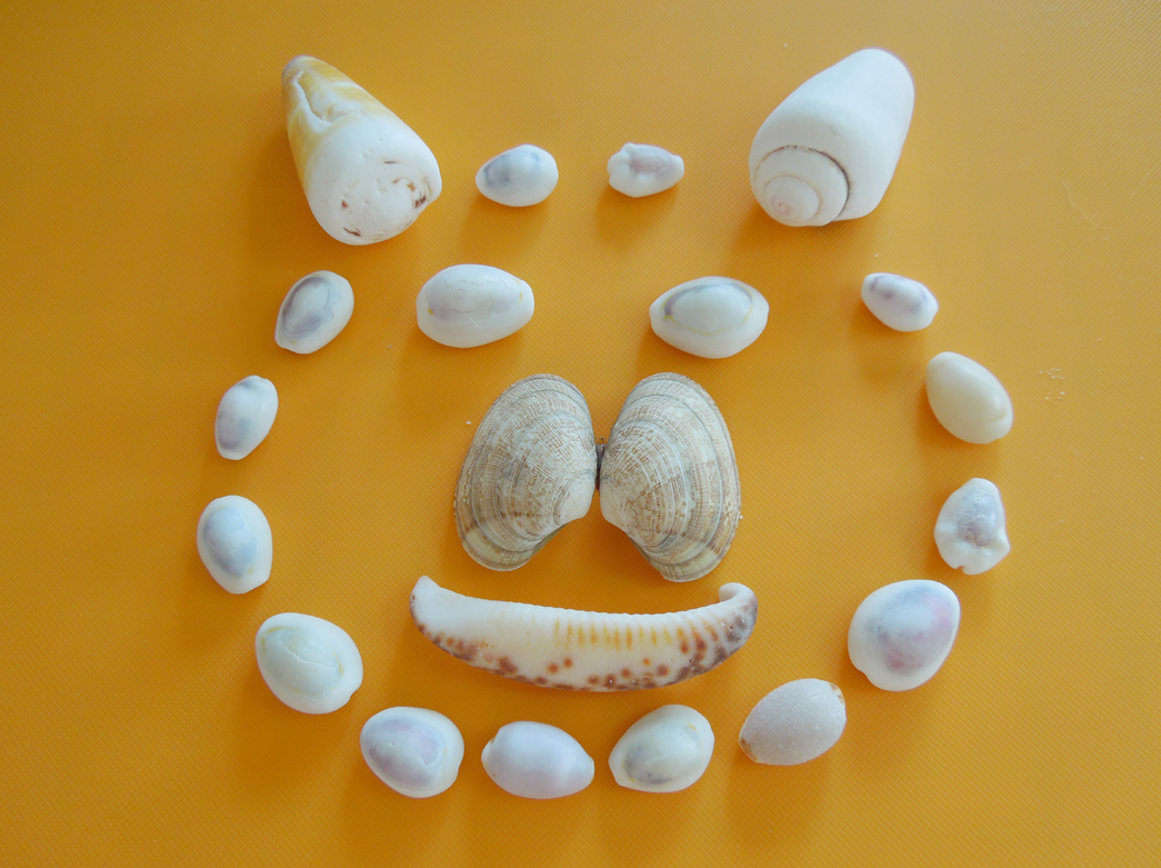 No 591 貝殻アート 保育のひきだし こどもの可能性を引き出すアイデア集