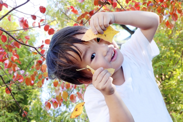 年齢別 子どもにどんなお手伝いをしてもらうとよいのか 保育のひきだし こどもの可能性を引き出すアイデア集