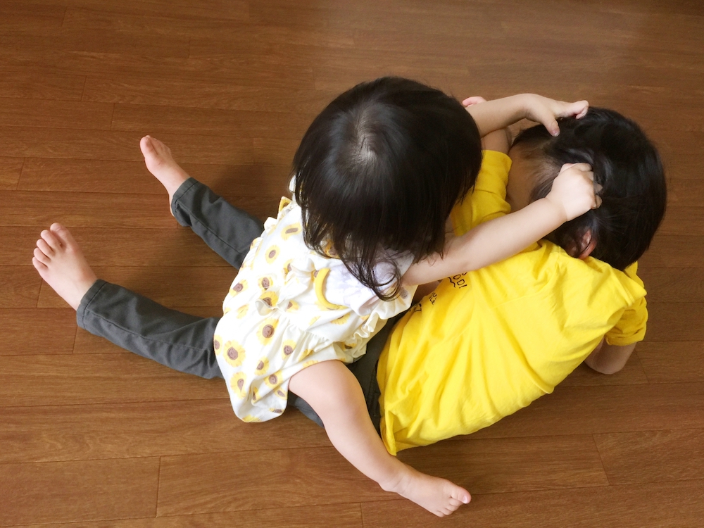 毎日の 兄弟げんか への対処法 保育のひきだし こどもの可能性を引き出すアイデア集