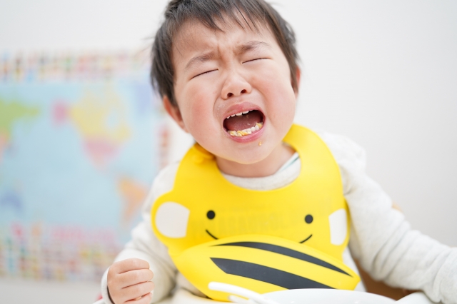 子育てで大変な時期と乗り越え方 特に大変な時期を乗り切ろう 保育のひきだし こどもの可能性を引き出すアイデア集 子育てで大変な時期と乗り越え方 特に大変な時期を乗り切ろう 保育のひきだし こどもの可能性を引き出すアイデア集